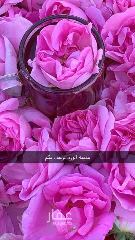 1476370 فلل الاثير للايجار اليومي الطائف منطقه الهدا الموقع خلف فندق مرديان الهدا التواصل مع ابو رمزي ٠٥٥٩٩٥٠٢٥٣