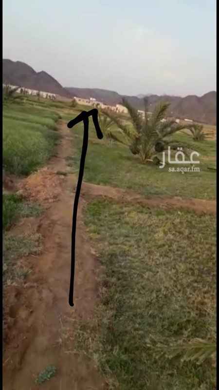 1352768 فرصة من المالك مزرعه للبيع بالمدينة المنورة مساحتها ٣٠الف متر مربع
بصك الكتروني
على شارع ٥٠ وشارع ٢٠
مسوره بجدار طوله مترين على طول المزرعة
في نخل عجوه
وبيوت متكاملة
وفي غرف حيوانات من اغنام ودواجن على طريق تبوك تبعد على الحرم عشرين دقيقه مسافة ٣٠ كيلوا فقط *المطلوب مليون مع المالك مباشرة* التواصل واتس للجادين فضلا