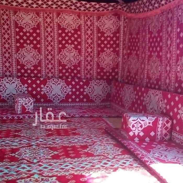 1274943 المخيم الملكي بعسيلان للايجاراليومي خمس بيوت شعراناره مطبخ حمامات ٢قسم نساء ورجال ايجارلليكوند٣٥٠من الاحدالى الاربعاء٢٠٠عرض خاص حتى بدايه الاجازه المخيم جديدتم الافتتاح١٤٤٠/٣/١٤