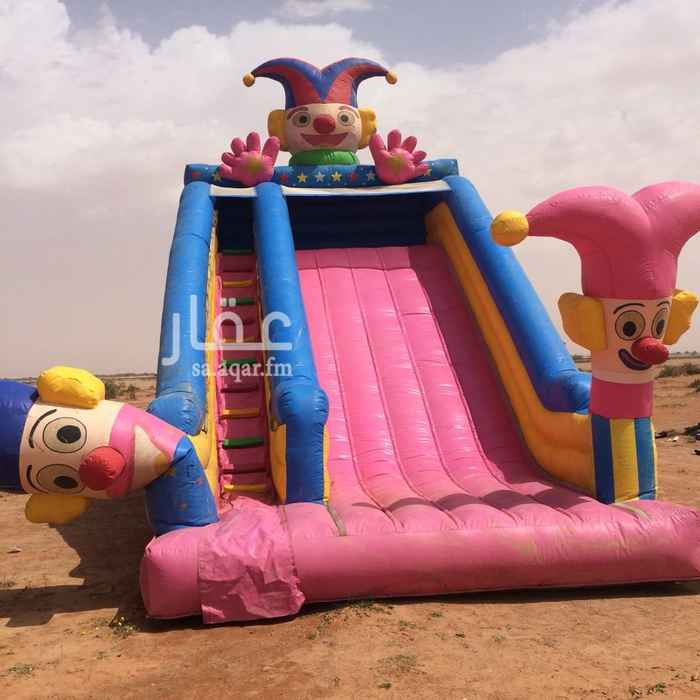 1482572 بلونه للبيع