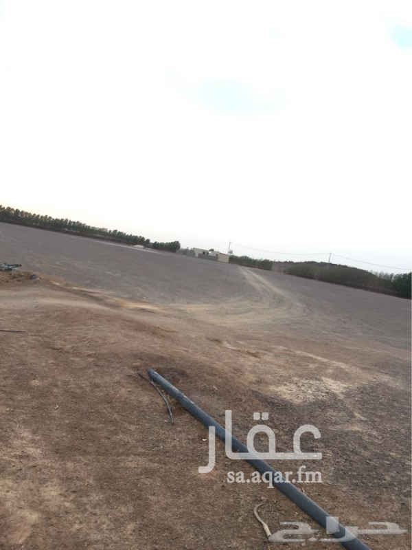 1289006 للبيع مزرعه مساحتها 65000 الف متر يوجد بها اثنان من الابار الارتوازيه والماء 2 بوصه ويوجد بها من النخل مايقارب 200 نخله ويوجد بها عداد كهرباء واستراحه مكونه من غرفتين ودوره مياه وحوش + حوش للغنم + غرفه للعامل
ملاحظه /
يوجد لها كروكي
للاستفسارالاتصال علي الرقم التالي
0530090202