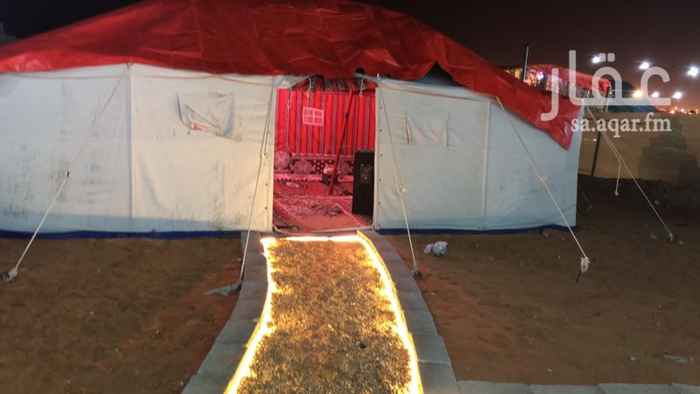 1384705 عرض لايام الاسبوع من السبت الى الاربعاء 300
ويومين الخميس والجمعه 600
مكون من بيت شعر خيمة و عريش مطبخ
ويوجد ايضا بروجكتر وسماعة