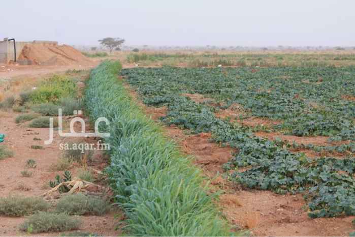 1460227 مزرعة للبيع في الصدر الأعلى بعد مزرعة العذل على اليسار (نساح)قريبة من الرياض
المساحة : مليون بصك وعلى الطبيعة أكبر
المزرعة معقمة بتراب وفوق العقم اسلاك شائكة وتقع على ثلاثة شوارع 50م قريبة من طريق الخليج الجديد
الموجودات :
2000نخلة خلاص من غير الفروخ مثمرة
1000 نخلة واشنطني تقريبا
اشجار مساويك على جزء من العقم
ثلاثة ابار 8بوص 6بوص و6 بوص
الماء وفير والتربة زراعية
غرف عمال واحواش غنم وبيت سكني تحت الانشاء.
دفاعة ماء ورشاشين اربعة ابراج وخمسة ابراج
الكهرباء : 300 امبير
توجد خدمات قريبة بقالة