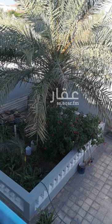 1328820 فيلا مناسبة لمشروع روضة وحضانه ومشغل نسائي
محتويات الفيلا
زاوية على أهم شوارع الظهران
حوش حديقة عدد ٣ غرف خارجية مع دورة مياه وكراج
الدور الاول
مجلس مقلط صالة مطبخ عدد غرفتين و٣ دورات مياه
الدور الثاني
صالة كبيرة وعدد ٤ غرف نوم وحدها منهم ماستر بالاضافه إلى بلكونه خارجية