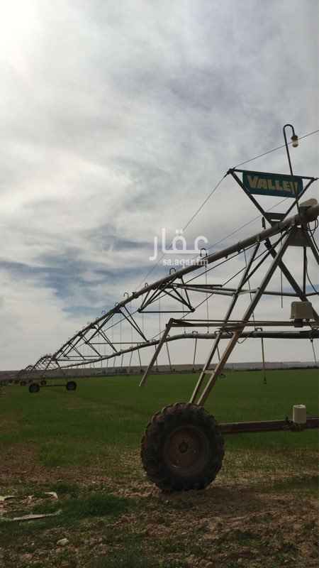1296653 (الموقع المرفق غير صحيح )
(جميع المعلومات موجوده )
(التواصل للجادين فقط)
طريقة التواصل عن طريق الواتس اب فقط
————————
125 تقريباً نخل خضري
200 تقريباً نخل صغير مشكل خضري سكري اخلاص
2 مستودع
الاول 10 في 10
الثاني 12 في 20
سكن عمال +بركه + قلابي تايوتا
حضائر اغنام ودجاج وحمام
بئر فيه طرمبه 6 بوصه
وعدد 2 مكينه فيلفو
حراثه هنديه 70 حصان
شاليه للعائله مع حديقة
2 رشاش
واحد 4 ابراج
والثاني 3 ابراج
المساحه 281الف
الكهرب داخل المزرعه والطرق معبده
تبعد عن الرياض 150كيلو على طريق ثادق