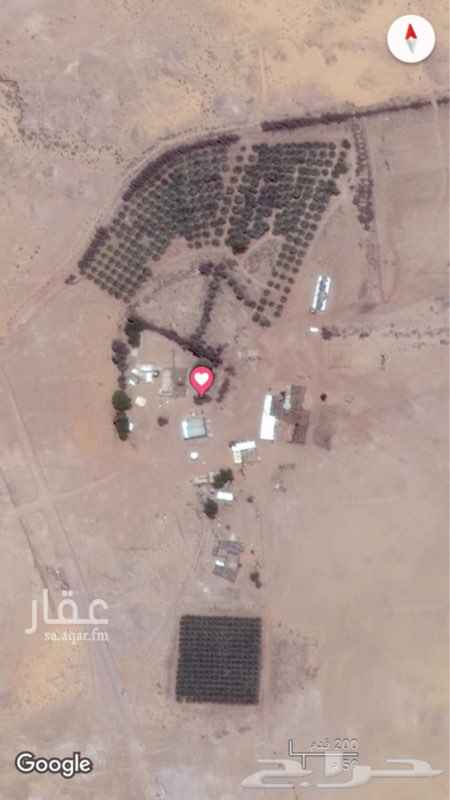 1087037 مزرعه للبيع شمال بريده 30 كيلو ( غاف الجواء )
تبعد عن خط القصيم حايل السريع 2 كيلو
المساحة : مليون و800 الف متر مربع
1500 نخلة اغلبها سكري ( اكثر من 1000 سكري )
10 صكوك وقرار زراعي
3 ابار ارتوازيه
جهازي ري محوريين 7 ابراج ، 8 ابراج
5 بيوت محمية
مستودع
حضائر للماشية
كهرب واصل مع 3 جهات
للاستفسار : 0505143881