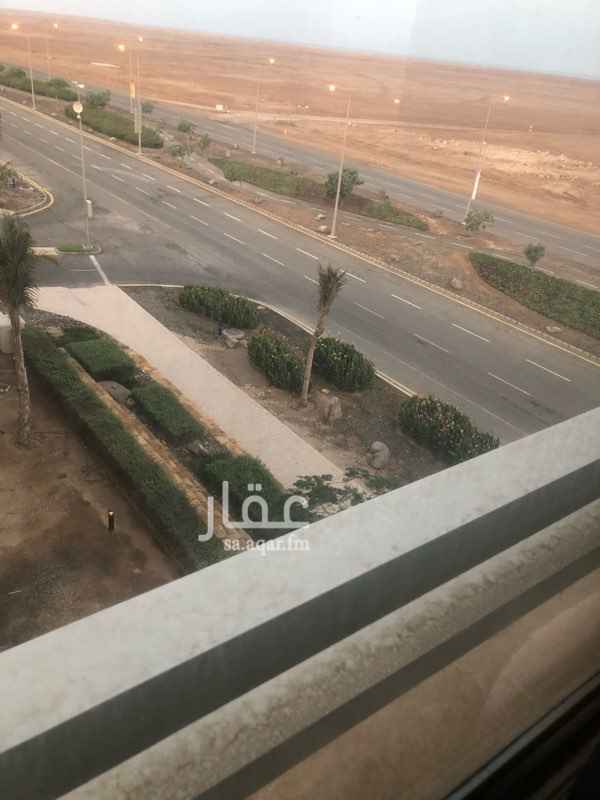 1391322 شقة في مدينة الملك عبدالله حي الشروق ثلاث غرف نوم وصالةاستقبال كبيرة مطلة على البحر وغرفة شغالة وثلاث حمامات كل الغرف تطل على البحر مفروشة فيها خمس اسبلت وسخانات مطبخ راكب ملاحظة دفع تامين مقدم 5000ريال .جميع الفواتير على المستاجر .(كهرباء وماء وصرف)”رقم العمارة 78 رقم الشقة 41 ثاني عمارة مطلة على طريق الساحل الشقة ركنية ومطلة على البح ملاحظة الايجار لايشمل خدمات اعمار اذا مع الخدمات 35000 المعذرة (الجادين فقط)