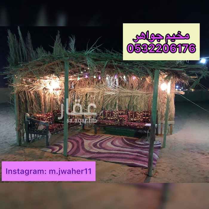 1408672 أهلاً بك في مخيم جواهر ، نحن نتطلع لخدمتك
المخيم قسمين
قسم الرجل :. بيت شعر - خيمه - جلسة خارجية - جلسة عريش - حفرة مندي - ملعب طائرة
- حمام ( اكرمكم الله ) مغسلة
قسم النساء :. بيت شعر - خيمه - جلسة خارجية - جلسة عريش - حفرة مندي - مراجيح اطفال )
- حمام ( اكرمكم الله ) مغسلة