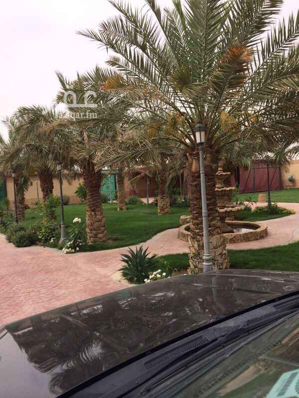 801069 استراحة للبيع او الايجارفاخره ومميزه بها مسطحات خضراء و نخيل وغطاس ماء و هاتف و كهرباء بالقرب من كلية الملك عبدالعزيز
موثثه بالكامل اثاث فاخر و تصميم مميز
للاستفسار / 0533000079
كما يوجده عدة عروض بمساحات مختلفه اراضي او استراحات جاهزه بنس المخطط