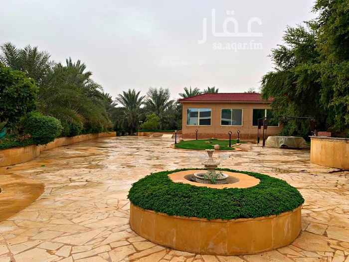 1569705 - مزرعة في جو المزاحمية
- مطلة على المزاحمية ونزلة القدية
- تقع على ثلاث شوارع
- حديثة البناء وبجودة عالية
- يوجد بها منطقة العاب خاصة للأطفال
- يوجد بها ١٠ غرف نوم
- يوجد بها ١٦ صنف من خضروات وفواكة مثل: تين، زيتون، توت، طماطم، فلفل، بصل، خس، برتقال وغيرهم الكثير
- يوجد بها ٤ مجالس رئيسية
- مسطحات خضراء كبيرة
- ملعب للتنس وكورة القدم وكورة طائرة
- دقيقتين عن مركز خدمات وصراف آلي
- يوجد بها ٥٥ نخلة بأنواع عديدة من التمر
- مقابلها مسجد