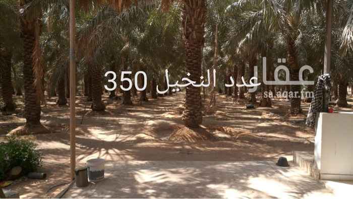 1189052 الموقع إلسعيره شمال ابالورود....
فيها ملك نخيل مثمر 300 نخله
غرس جديد 150
فيها ماء حلو
فيها أشجار غابه تزيد عن 1000شجره
فيها منزل خاص عوائل مطبخ ومجلس وغرفة نوم و2 دورات مياه...
فيها منزل خاص مجلس +مطبخ+2دورة مياه مستقلات
2عداد كهرب
الآبار 2عليهن غطاسات واحد 2بوصه جديد من شهر 10 والآخر العام الماضي 4 بوصه
فيها مكان خاص الصيد مجهز شبك 8م×20م حضاركبير+رذااذ❄... يوجر في موسم الصيد يومي 800ريال
فيها حضائر اغنام وطيور
المساحه
70ألف بصك م والباقي شهاده زراعيه المجموع 130الف م
مشبكه بحاجز حديد وحبس