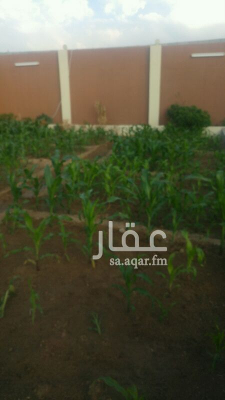 1273242 استراحه على شارعين 20و15 مكونه من ثلاث غرف وصاله وثلاث دورات مياه ومجلس خارجي مع دكه كبيره ومزرعه ومسبح وملعب كوره الكهرباء واصل عدد 50امبير يوجد استراحات في المنطقه تبعد عن الشارع العام 300متر مملوكه بوثيقه والصك تحت الاجراء في المحكمة
موقعها في ذوحجى خلف مطعم البيك ب7كيلو