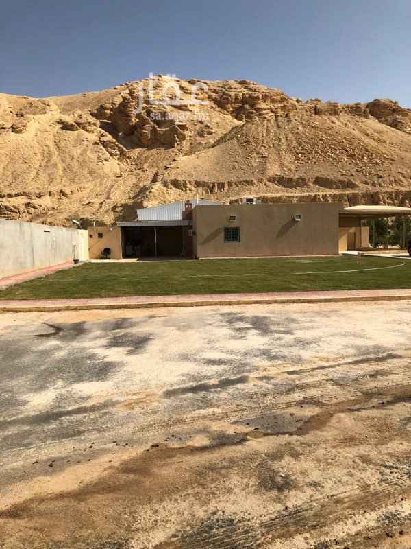 1310616 مزرعة في حي هيت
مساحتها اكثر من ١٢ الف متر
على شارعين جنوبي ٢٠
شمالي ١٥
ومن الغرب ارض مجاووة
ومن الشرق جبل
•قسم الرجال يحتوي على
دكة مظلله
مساحة مزروعة
مجلس رجال
مشب
دورة مياه ومغاسل
غرفة حارس + دورة مياه
•قسم النساء يحتوي على
مجلس نساء
صالة
مطبخ
غرفة نوم
دورة مياه ومغاسل
يوجد سور بالكامل على الاستراحة
يوجد١٠٠ نخلة مزروعة مختلفة الانواع من التمور
يوجدبئر ارتواز ومجهز شبكة ري ارضية
كل ماسبق موجود في الجزء الشمالي من الاستراحة
اما الجنوبي فارغ ويمكن تأجيره
السعر ع السوم