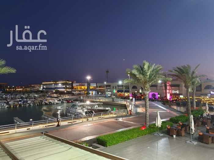 1590444 للايجار اليومي او الاسبوعي شقه مطله على مرسى درة العروس تتكون من غرفه نوم وصاله ومطبخ وحمام
السعر
٧٠٠ الليله وسط الاسبوع
١٠٠٠ ريال الليله في نهاية الاسبوع
خصم عند الحجز لليلتين او اكثر