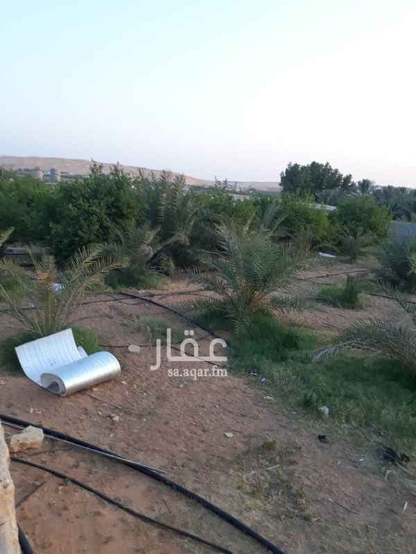 1616961 للبيع مزرعه بعنيزه خلف كليه المجتمع المساحه 7491 فيها بيت مكون من غرفتين وصاله ومجلس ومطبخ ودورتين مياه فيها حضاير غنم مقسمه وفيه مستودع كبير و فيها اشجار حمضيات حوالي 100 كلها مثمره والنخل حوالي 50 سكري وخلاص وانواع اخراء فيها خزان ارتفاع 15 متر ومطق عميق رسمي
هاااام
( المزرعه مرتفعه وعلى مرفق عام وعلى مراعي )
الاستفسار
(0505132508)