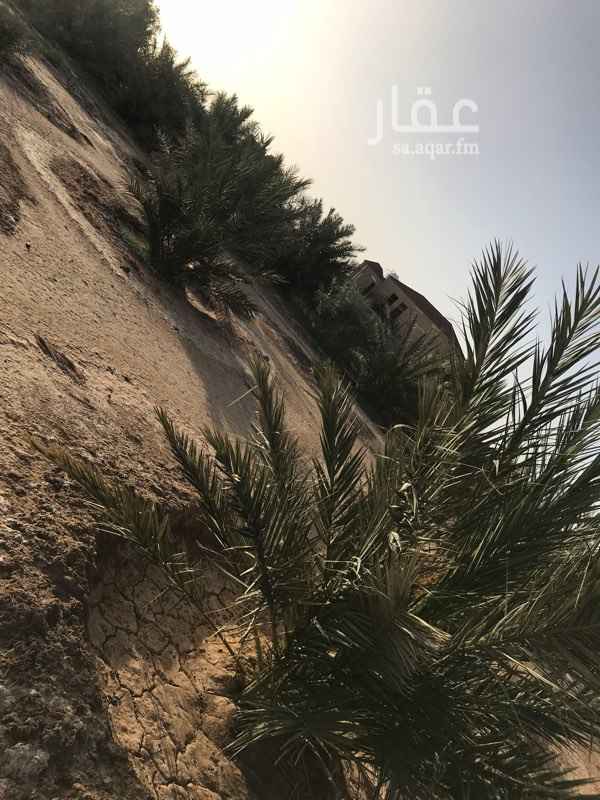 1250220 مزرعة بوثيقه زراعيه وعداد كهرب زراعي بها تقريبا 200 نخله صفاوي وعجوا ومجدول وروثانه وبرني وصقعي بها استراحه وجلس تراثي وبركه مبنيه بالحجر ويوجد غرف للعمال واحواش للمواشي حدود المزرعه مشجره وشبك شائك شغال فيها عدد 1 بئر بوصه ونص ماء زراعي والبئر الثانيه تحتاج كيسي