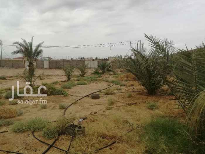 1264570 حوش للبيع مساحه الارض 2133 متر الواجهه غربيه
على الشارع 39.30 متر والعمق 56 متر
فيها اكثر 20 نخله أغلبها خلاص قريب من دره المليدا صك مشاع الماء واصل مشروع وكهرباء مكان مناسب وقائم بالإستراحة العوائل
...