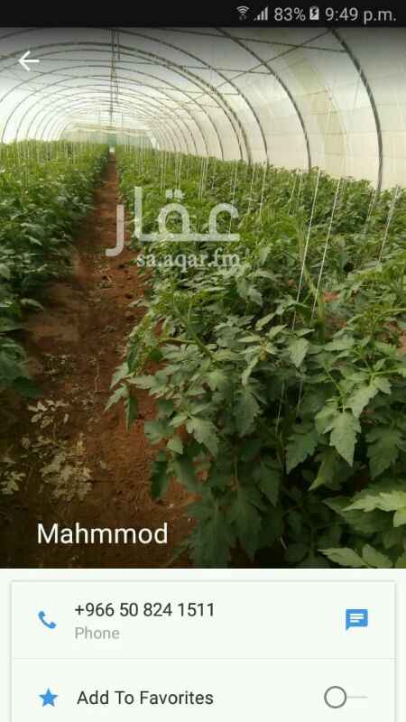 1239548 مزرعة للبيع تبعد عن المدينة 50كم في العشيرة
يوجد فيها استراحه نساء ورجال وبئرين وسكن عمال مستقل عن الاستراحة وبركه 20في 20-وكهرباء وأصله ويوجد فيها 74بيت محمي و بيت شعر وفيها جلسه خارجيه والتواصل على هذا الرقم 0534300380