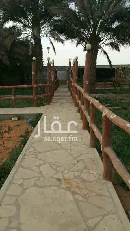 1396939 بعد تقاطع نساح اتجاه الجنوب