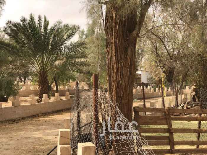 1185011 مزرعة العادلية للبيع
الموقع : منطقة الجو بالمزاحميه / مزرعه العادليه
· تبعد عن الرياض حي السفارات 45كلم
· قريبه من وسط المزاحميه والجامعه ومشاريع الحكومه الضخمه
· جيرانها محترمين وكبار الشخصيات والامراء
· وهي اقل من تكلفة الموجودات عدا الارض
____________________________________________________
المساحه : الفعليه (55 ) ألف متر مربع / عليها صك
· لايوجد عليها اي ديون اومنازعه اومشاكل
________________________________________
مميزات المزرعة :
الموقع غير مضبوط باقي التفاصي