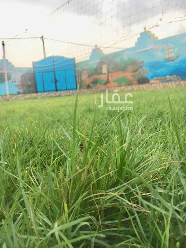 1285182 استراحه للايجار اليومي
تتكون من قسمين
قسم الرجال
1- مجلس رجال 13*6 وصاله ومطبخ متكامل ودورات مياه وغرفه 6*6 وجلسات خارجيه ومسطحات خضراء
ومسبح مشترك متكامل بوسائل السلامه ومعلب كوره قدم وطائره
قسم النساء
2- مجلس النساء بيت شعر 9*4
غرفه 7*6 وصاله ومطبخ متكامل ودورات مياه وغرفه 6*6 وجلسات خارجيه ومسطحات خضراء
* مؤثثة بالكامل