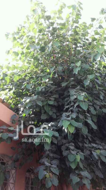 1269935 استراحه قايمه ممتازة بها مسبح مجالس غرف نوم فرصة موقع الإعلان غير صحيح