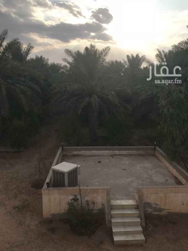 1208615 استراحه عباره عن مزرعه صغيره خارج مدينه الرياض طريق القصيم
الموقع مخرج رقم ٩ بلدة الحسي المسافه ٩٥ كيلومتر من نادي الشباب
١- يوجد نخل اكثر من ١٢٠ نخله مثمره ومتنوعه خلاص - برحي - هلالي - مكتومي - صقعي
٢-اشجار حمضيات وورقيات
٣-الماء متوفر بعدد ٢ ارتواز وبئر
٤-مجلس رجال مفروش ١٠x٥ومقلط ٥x٨ ومدخل خاص للرجال
٥-حضائر للاغنام والطيور وشحنة حطب ومظلة سيارات
٦-دكه ٦x٦ وخيمه ٦x٨ مع مشب مفروشه
٧- مطبخ متكامل مع ثلاجات
٨-خزان غاز مركزي
٩- عدد ٢ كهرباء
امكانيه التأجير لعده سنوات