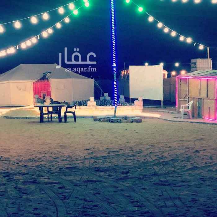 1383634 مخيمات ابو مشعل الامخيم يتكوان من بيت شعر وخيمه ودكه خرجيه ودكه عريسه ومطبخ والعب اطفال الاعرض ٢٥٠ ريال او مع اسماعه وساعه دباب ٣٢٠ ريال