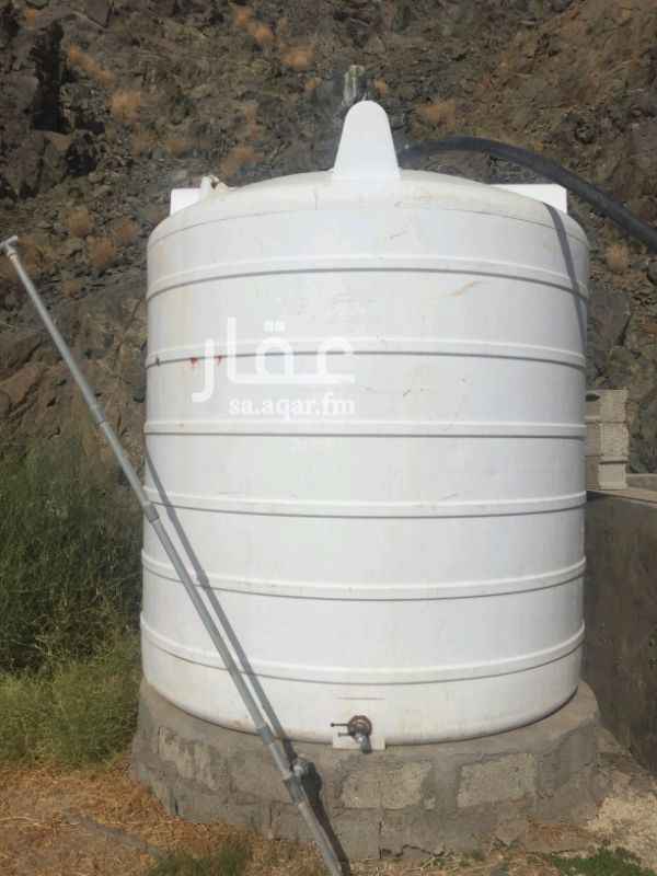 1579111 مزرعة في هدى الشام للبيع يقسمها الشارع نصفين
مساحة الاولى :88,042
مساحة الثانية : 40,000
البير حلو جدا وعمقه 35 متر فقط عليه غطاسين 3 بوصة
يوجد 3 بيوت محمية مكيفة ( فايبر )
١٣١حوض زراعي
برك لتربية السمك
بركس بحمامه اكرمكم الله ( جديد ونظيييف )
غرفتين للعمال بحمامين
الاشجار اكثر من 186 ( منجا . توت .تين . مورينجا . لوز. حمضيات. رمان . نخل )جوز حمام
١٢ جوز وز
٣حفر مندي ومكانين مجهزة للشوي
مسلخ كامل ومجهز
تم تسوية ودك الجزء الجبلي من المزرعة واصبح مطل مرتفع يطل على المزارع