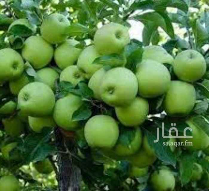 1503509 ⭐⭐عرض خاااص⭐⭐
✔للبيع مزرعه بالخطة
✔مساحه حوالي مليونين ونص
✔ مجهزه بالكامل
✔ عليها تراخيص اعلاف+خضار
💲سوم جديد (٣ مليون و مائه)
يوجد حمضيات و زيتون و نخل
ابو مالك 0538495675