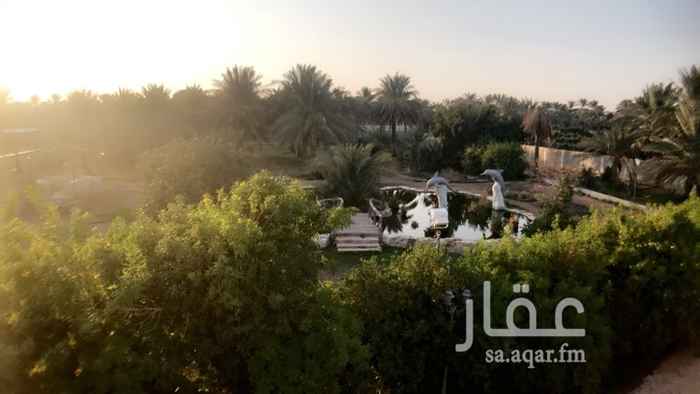 1299374 مزرعة استخدام خاص تحوي:
- ڤيلا رئيسية بغرفتين نوم ومجلسين ىدورتي مياه وصالتين ومطبخ.
- ڤيلا تراثية بمجلسين ومطبخ ودورة مياه.
- بحيرة صناعية بنوافير.
- مسبح بفلاتر.
- ملعب قدم وطائرة نجيلة صناعية.
- حوض زراعة خضار.
- ٦٠ نخلة (منيفي-خلاص-صقعي-نبوت سيف- سلج)
- ٥٥ رأس نعيمي.
- سكن للمزارع.
- ٢ مستودع.
- بئر ماء ارتوازي ٣ بوصة.
- شبك طيور مع فقاسة بيض (٥٠ حمامة - ٥ ديك - ١٠ دجاجات).
- مسلخ.
- منطقة ألعاب أطفال.
- جلسة خارجية (عزبة) بجوار البحيرة.
- منطقة لاسطبل الخيول.
- انترنت 4G
- ٨ كاميرات مراقبة.