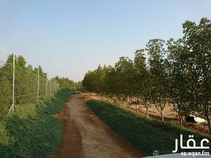 364870 مزرعه للبيع في عسفان مساحتها 92000 الف معقمه ومحاطه باشجار البزرومي أرضها زراعيه درجه اولى وقريبه من طريق مكه المدينه القديم بينها وبين الطريق العام مزرعه واحده وبطريق واسع إلى المزرعه يوجد بها غرفه للعامل وبيت شعر كآستراحه يوجد بها عدد اثنين ارتوازات الماء متوفر ماشاء الله كما يوجد بها عداد كهرباء فيها عدد من الأشجار في جزء منها والباقي مساحه بيضاء للاستفاده منه في بناء حضاير او زراعه او اي شي اخر
مطلوب في المتر 10 ريال
قابل للتفاوض بالمعقول
0540089533