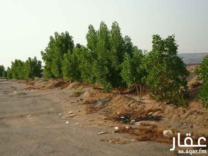 364887 مزرعه في عسفان للبيع مساحتها 320 الف ذات موقع مميز على طريق المدينه القديم من الخط إلى الجبل يوجد بها ارتواز ماء متوفر مطلوب في المتر 8 ريال
0540089533