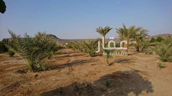 374443 مزرعه في عسفان للبيع مساحتها 12500 تقريبا يوجد بها كهرباء وماء حلو
اثنين ارتوازات تشتغل 24 ساعه تقريبا قريبه من الشارع العام
كما يوجد بها عدد من الأشجار مثل النخيل والجوافة والمنجه والياسمين والسدر وغيرها ويوجد بها خزان لحفظ الماء
وغرفتين ومطبخ ودوره مياه
مطلوب فيها 700 الف
قابل للتفاوض
0540089533