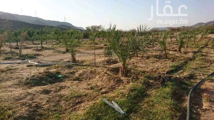 874491 مزرعة للبيع في عسفان مساحتها 18 الف يوجد بها بئر يدوية وبئر ارتوازيه مويتها حلوه ماشاء الله تبارك الله يوجد بها 140 نخل ومورينجا وفل وغيرها من الأشجار عليها ورقه من الاماره مختمه وورقه من الزراعه مطلوب فيها 500 الف
قابل للتفاوض بالمعقول