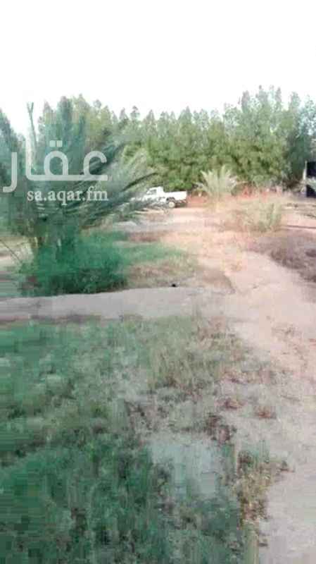 947903 مزرعه في خليص بصك شرعي مساحتها 36 الف مسوره بشبك شايك من جميع الجهات فيها ثلاثه ارتوازات و فيها نخل ولوز وبزرومي وغرفه للعامل وكهرباء
مطلوب فيها 1.5 مليون
0540089533