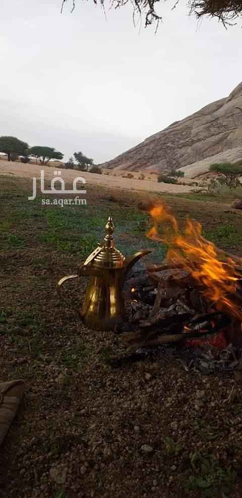 1351442 يوجد لدينا مزارع وقطع أراضي للبيع في عسفان والغولا وغران وخليص
مساحات مختلفه تبدأ من 5000 متر فيه بصكوك وفيه بوثايق وأسعار مناسبه ان شاء الله بعضها فيها زراعه والبعض بدون حسب الرغبه وكل شي له سعره
0540089533