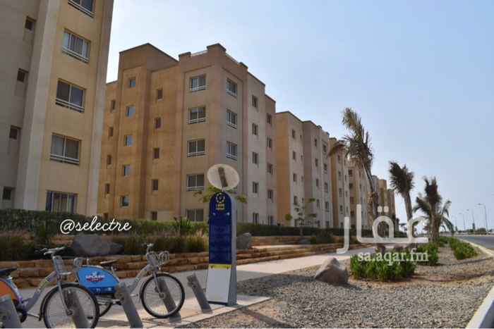 1145474 للبيع شقة مميزة اطلالة غربيه من جهة طريق البحر الاحمر والبحر
مكونة من ثلاث غرف وصاله وثلاث دورات مياه مع غرفة خادمة
تقع فى الدور الرابع
ملاحظة مدفوع القيمة المضافه٥٪
وسعر البيع مميز