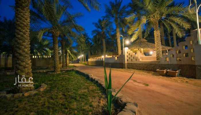 1590146 للبيع مزرعة
.،؛(بالقرب من دوار السفينة بالمبرز) ؛،.
السعر سوم وصل/ 135 الف.
السعر البيع/ 150 الف.
• وقف (بدون إيجار) 23 سنة.
• موقع جـداً ممـــتـاز.
• تبعد عن الإسفلت 25 متر فقط.
• تقف عليها السيارة مباشرة.
• نخيل قائمة ممــــتازة.
• مسورة (باقي جزء).
• المساحة 650 متر.
• وقف بدون إيجار.
• المدة/ 23 سنة.
• كهــــــــــــرب.
• اوراقها نظيفة (صك اكتروني).
• احقية التأجير والإستثمار والتنازل.
•••ملحوظة/ الصورة التي بالعرض رمزية، ليست للمزرعة نفسها.
0540492332