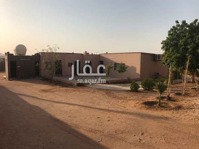1589151 قسم الرجال
غرفتين + مستودع + مطبخ + دورتين مياه + دكه
قسم النساء
٥ غرف + دورتين مياه + مستودع + مطبخ + دكه
كذلك توجد غرفه مع مطبخ ودوره مياه
وتوجد استراحه غرفه مع مطبخ ودوره مياه
حوش غنم