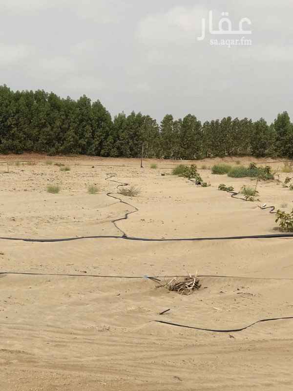 1103808 مزرعة وبها استراحة مكونة من غرفتين ودورة مياه وبيت شعر وجلسة امام البيت
كما يمكن بيع جزء من المزرعة تم تركيب عداد الكهرباء