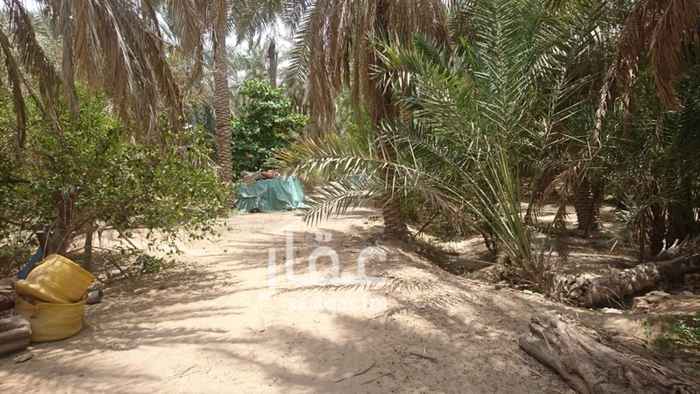 1634796 للتواصل الرجاء الاتصال 0541183316