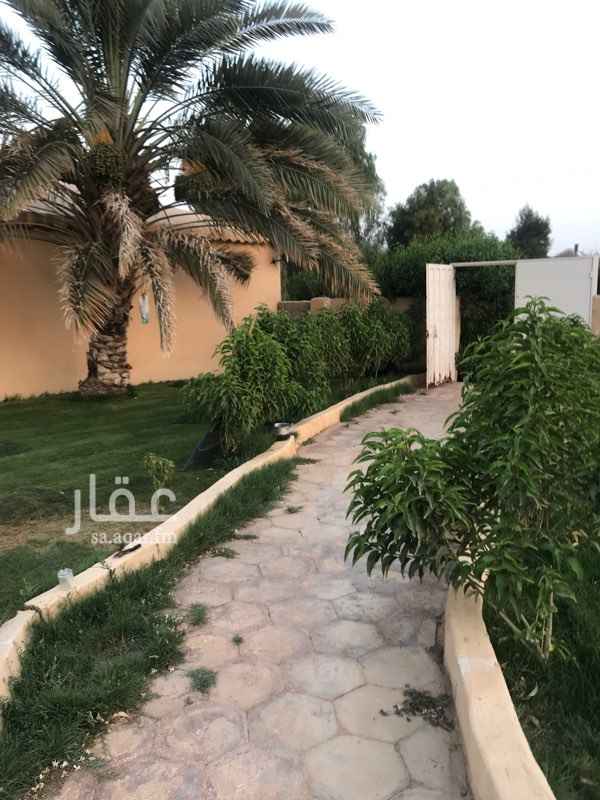 1662118 مزرعة في روضة ريم المزاحميه مخرج ٦
فيها ٤٠٠ نخلة ووساحات خضرا واكواخ واستراحه واحواش
الارض فيها ٦ ابار
على السوم
وكيل البيع
٠٥٤١٢١٨٢٣٢