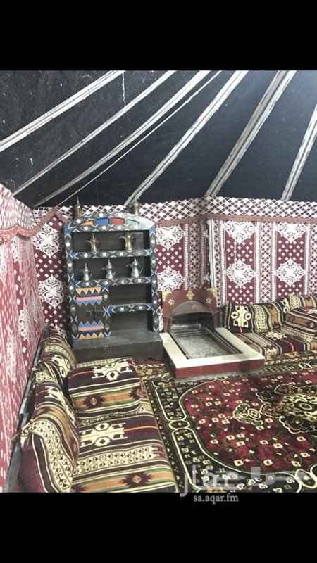 1296807 للايجار او للبيع مخيم قسمين عزاب وعوائل
قسم العزاب مكون
1- بيت الشعر 5*9 يوجد مشب فيه
2-مقلط خيمه 6*4
3-مطبخ 4*4متكامل
4-جلسه خارجيه 6*5
5_شاشه48 بوصه
6-براميل مندى
7-ملعب طائره
8-دورات مياه مع مغاسل
***************
قسم النساء مكون
1-بيت الشعر 5*7
2-مقلط 6*4
3-مطبخ 4*4
4-جلسه خارجيه 6*5
5- برميل مندي
6-دورات مياه مع مغاسل
*********
المكان طريق الرياض الكبري الي بعد محطه بترو هلا يسار
أسعارنا مناسبه للجميع
للحجز 0541247643
0551475217