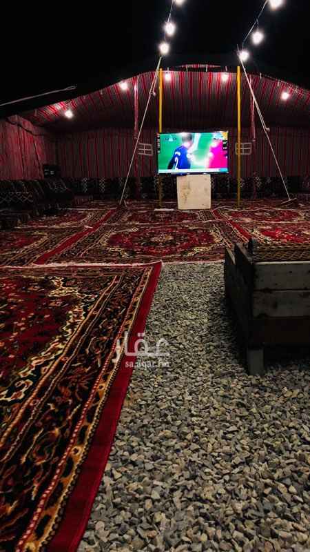 1266490 مخيم الشباب للأجار اليوم
المخيم شباب فقط
يوجد فالمخيم
زل
باطرمه
مساند
مشب
ميفا (ادوات الطبخ كامله موجوده)
شاشه 50 بوصه
رسيفر beoutQ
ملعب طائرة
دوره مياه
مغاسل
ادوات القهوه والشاهي موجوده كاملة
ايام الاسبوع 400
الخميس والجمعه500
رقم التواصل 0541509264
الرجاء التواصل على الواتسب