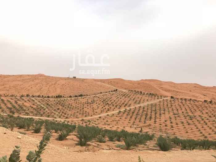 مزرعة للبيع فى طريق مكة المكرمة صورة 5