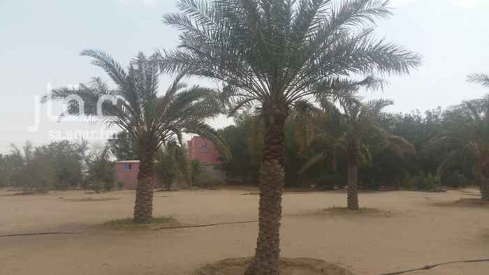 1664754 مزرعة متكاملة بها فيلا مساحتها ١١٠٠م مساحة المباني ٦٠٠م
يوجد مسبح ١٥X٧،،يوجد اشجار متنوعة ومستودعات ضخمةوغرف عمالة في مناطق مختلفة من المزرعة. شوارع داخلية جزء منها مزفلت والآخر معبد. يوجد بها مسجد على افخم طراز يتسع ل ٥٠٠ مصلي مجهز بالكامل.كهرباء٤٠٠ مسورة بالكامل سور مسلح والجزء الخلفي شبوك. يوجد بها ثلاث بيوت شعر مقاس ٢٠X١٠ الكبير مع ارضيات رخام روزا فاخر متر في متر وكذلك بيتين شعر كل واحد عشرة في ستة مع نوافير وجلسات خارجية. يوجد هنقر ضخم مقاس ٣٠X10 المزرعة على ثلاث شوارع. بصك شرعي حديث.