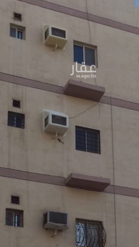 1597334 شقه عباره عن اربع غرف وحمامين ومدخلين وخزان مستقل وموقف سياره ومصعد وحارس متواجد
مؤجره حاليا بمبلغ ١٨٠٠٠
للبيع نظرا لظرف نقلي للدمام الشراء كان بمبلغ ٣٦٠٠٠٠ الف ريال