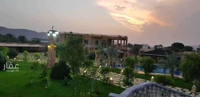 1458765 للبيع في العمارية استراحة فاخرة ( منتجع مميز) طولها على الشارع الشرقي ١٤٠ متر
مسابح