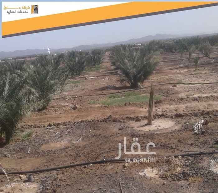 1413347 📌الموقع : ضعا تبعد عن المدينه ٣٥ كلم
📌المساحه : ٣٠٠٠٠ م2
📌عدد النخل ٢٠٠ نخلة
📌أنواع النخل : العجوه ٨٠ والباقي مشكل صفاوي وروثان
ومجدول وفحول وشلبي وبرني العيص
📌عدد الأبيار : 1 / ٢٠٠ م غطاس بوصة ونص
📌المميزات : بيت صغير - غرفه للعامل - كهرباء
💡ملاحظة : لا يوجد صك وثيقة فقط .
☎️للحجز والاستفسار : 0503300006 - 0543889333
🌈شركة حلول للأستثمار والتطوير العقاري تسعد بخدمتكم